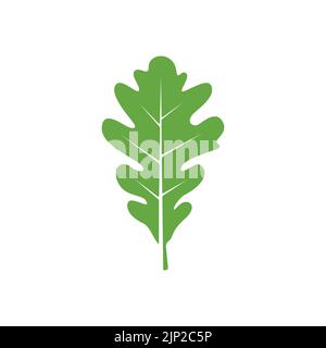 Oak leaf logo design template. Oak leaf pictogram. Vector illustration Stock Vector