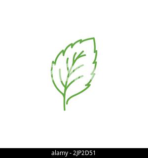 Green mint leaves ecology nature linear element vector icon, Leaf linear Icon, mint leaves logo vector illustration Stock Vector