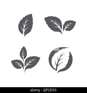 Set of Green mint leaves ecology nature element vector icon, Leaf Icon pack, mint leaves logo vector illustration Stock Vector