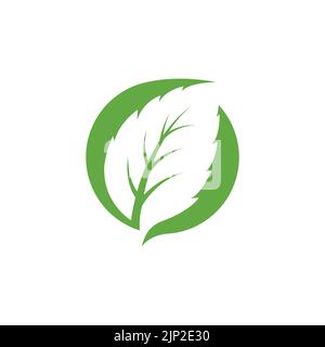 Green mint leaves ecology nature element vector icon, Leaf Icon, mint leaves logo vector illustration Stock Vector
