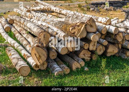 The birch logs lie on the grass in the village. Stock Photo