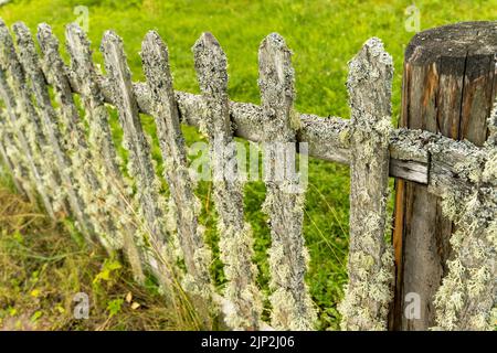 old wooden rural fence made of picket fence overgrown with moss Stock Photo