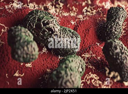 Microscopic details of monkey pox virus infecting human cells, artistic reconstruction showing the virus structure Stock Photo