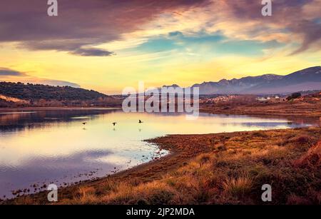 Lake landscape at sunset with ducks flying flush with the water and dramatic sky. Madrid. Guadalix. Stock Photo