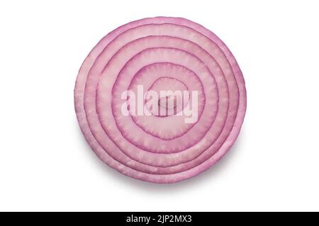 Studio shot of sliced red onions rings cut out against a white background - John Gollop Stock Photo