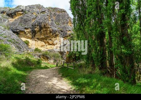 Green spring landscape with tall trees and rock walls with a dirt path among the vegetation. Duratón River, Sepulveda, Segovia. Spain. Stock Photo