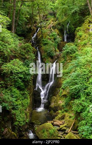 Stock Ghyll Force Waterfall in The Lake District National Park Stock Photo