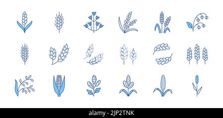 Cereals doodle illustration including icons - pearl millet, agriculture, wheat, barley, rice, timothy grass, buckwheat, proso, sorghum. Thin line art Stock Vector