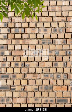 Vertical shot of a pattern of brick blocks, modern ceramic pieces for ...