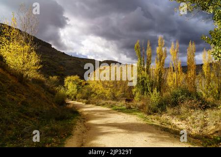 Storm skyscape. Dark clouds over trees at sunset. Sepulveda, Segovia. Stock Photo