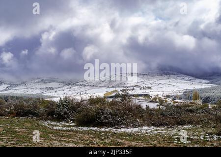 Snowstorm sky landscape over countryside and snowy trees. Dirt road to the mountain. Snow concept. Stock Photo