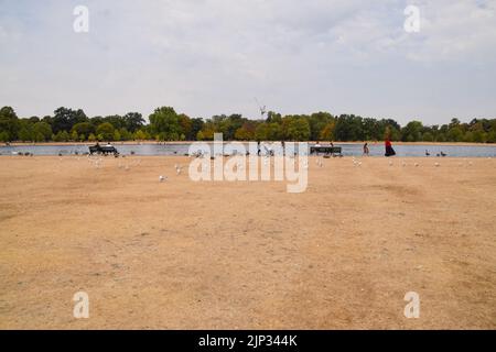 London, UK. 15th August 2022. Parched and barren Kensington Gardens next to the Round Pond as heatwaves and a severe drought affect parts of England. Credit: Vuk Valcic/Alamy Live News Stock Photo