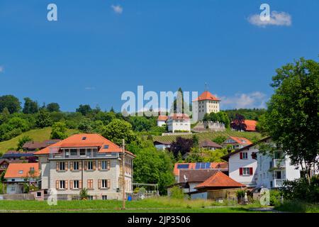 Beautiful Baldegg Castle in canton of Lucerne, Switzerland Stock Photo