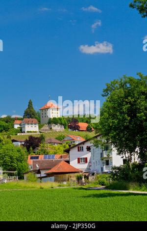 Beautiful Baldegg Castle in canton of Lucerne, Switzerland Stock Photo