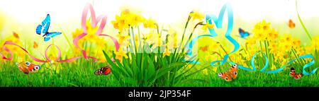 easter, flower meadow, easter bunny, easters, flower meadows, easter bunnies Stock Photo