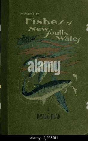 The edible fishes of New South Wales 1908 front cover Stock Photo