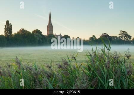 August morning at Salisbury Cathedral, seen across Harnham Water Meadows, Wiltshire, England. Stock Photo