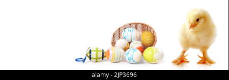 easter eggs, easter chicks, easter time, easter egg, baby chicken, baby duck, chicken baby, easters Stock Photo