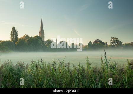 Misty summer morning at Salisbury Cathedral, seen across Harnham Water Meadows. Wiltshire, England. Stock Photo