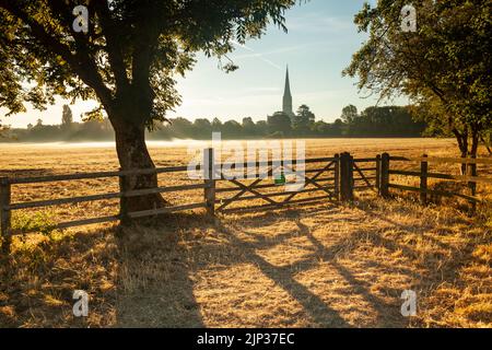 Summer sunrise at Salisbury Cathedral, Wiltshire, England. Stock Photo