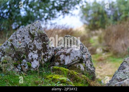 Detail of rocks in the field with different colors, moss and grass on the ground. Defocused background of green plants. Stock Photo