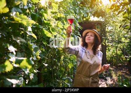 Successful Hispanc woman winemaker inspecting the homemade dry red wine on the rays of sun, standing in vineyards rows Stock Photo