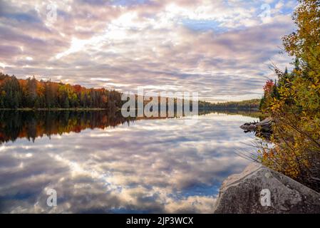 Beautiful lake with wooded shores at the peak of fall foliage under cloudy sky at sunset. Reflection in water. Algonquin Park, On, Canada. Stock Photo