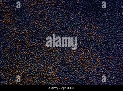 abstract rubber surface with decorative bumpy finish Stock Photo - Alamy