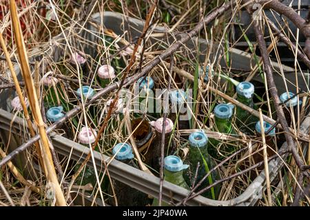 glass bottles in container with plastic caps thrown in nature Stock Photo