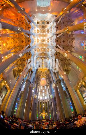 A vertical wide angle shot of the ceiling of La Sagrada Familia church building in Barcelona, Spain Stock Photo