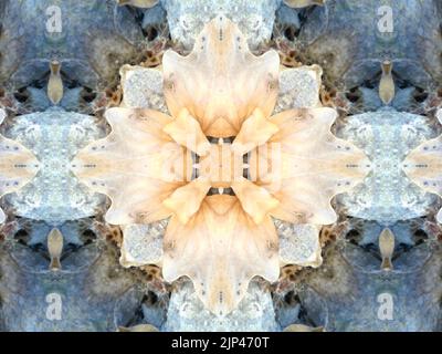 A beautiful symmetrical pattern formed by overlapping and intersecting ...