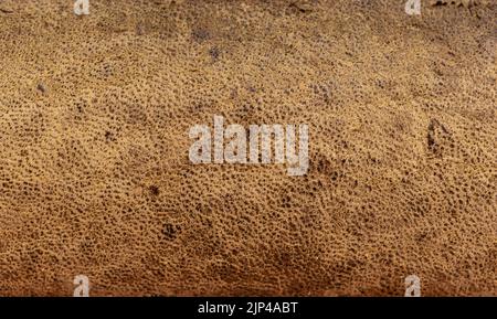 brown background from old natural cowhide Stock Photo