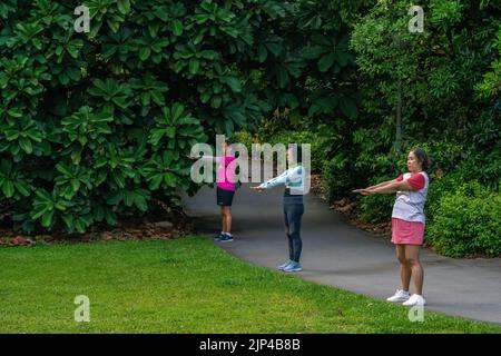 Three ladies are doing their morning exercise together in the Botanic Gardens, Singapore. Copy Space. Stock Photo