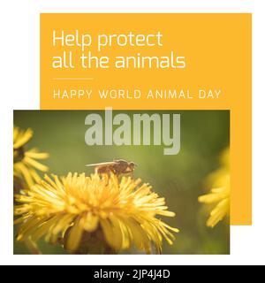 Composition of help protect all the animals happy world animal day text over bee on flower. World animal day and celebration concept digitally generat Stock Photo