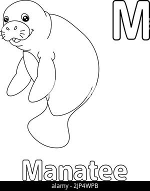 Manatee Alphabet ABC Coloring Page M Stock Vector