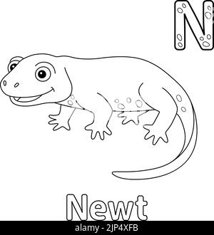 Newt Animal Coloring Page for Kids Stock Vector Image & Art - Alamy