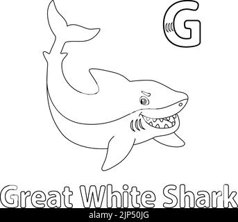 Great White Shark Alphabet ABC Coloring Page G Stock Vector