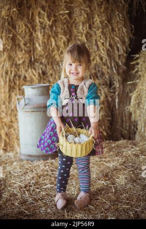 Charming child collects chicken eggs in a barn Stock Photo