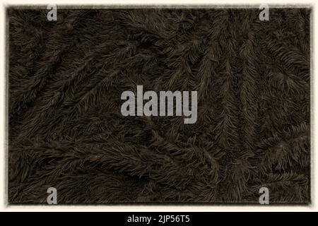 abstract background of detail bright pattern texture shaggy fur with long fibers. Polyester synthetic or natural fluffy plaid. Comfortable home textil Stock Photo