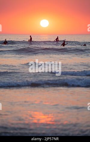 Surfers in waves at sunset. Polzeath Beach. Cornwall, England Stock Photo