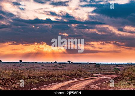Nairobi National Park is a national park in Kenya that was established in 1946 about 7 km south of Nairobi. It is fenced on three sides, whereas the o Stock Photo