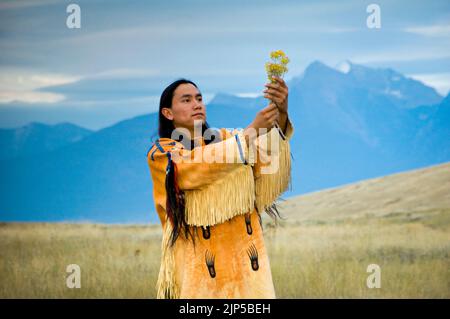Blackfeet man in traditional beaded shirt holds up a bunch of rabbit brush on the Bitterroot Mountains, Montana Stock Photo