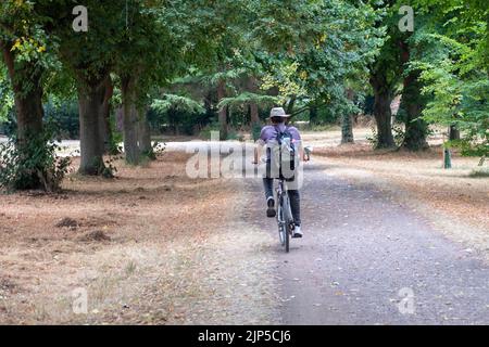 Eton, Windsor, Berkshire, UK. 15th August, 2022. In common with much of the UK, the heatwave and drought take their toll on the grounds of the public school, Eton College. Much needed rain is forecast for the week ahead and the South East is now officially in a drought. Credit: Maureen McLean/Alamy Live News Stock Photo