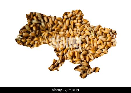 Defocus food crisis. Ukraine map. Global and European grain and wheat crisis. Export barley. Farming. Oats, barley, rye on white background. Wheat Stock Photo