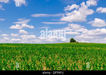 Open book on dark background Stock Photo