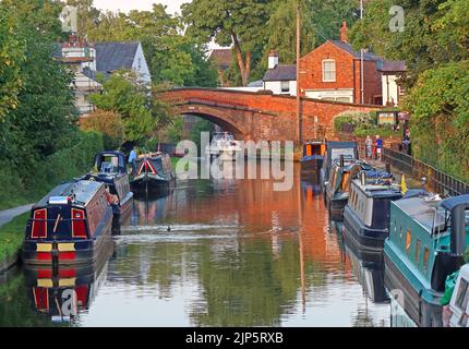 Barge in a summer evening, coming through the bridge Lymm, Bridgewater canal, Lymm, Warrington, Cheshire, England, UK, WA13 0HU Stock Photo