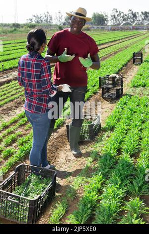 African American farmer friendly talking to Hispanic female worker Stock Photo