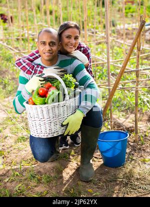 Indian woman working at her organic vegetables garden outdoor with her ...