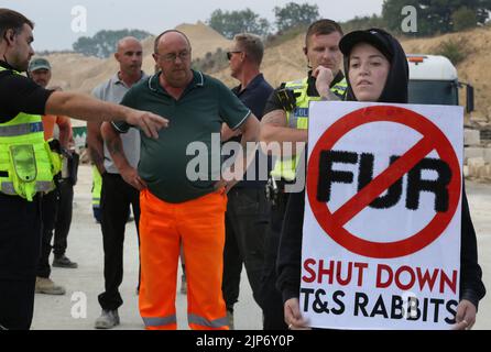 Ancaster, UK. 15th Aug, 2022. An animal rights activist holds an anti-fur farming placard during the demonstration. Animal rights activists are putting severe pressure on Phil Kerry to close T&S Rabbits in East Bridgford. They argue he is treating rabbits very badly on his farm, neglecting them and using them for fur and meat. They demand T&S Rabbits closes and all the rabbits are freed. (Photo by Martin Pope/SOPA Images/Sipa USA) Credit: Sipa USA/Alamy Live News Stock Photo