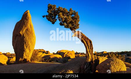 Balanced rock and juniper, Joshua Tree National Park, California USA Stock Photo